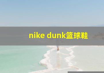 nike dunk篮球鞋